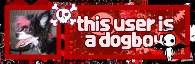 Credit: Saikiboxes on Tumblr. Text: "this user is a dogboy" this user is a dogboy 2